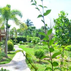 Отель Veranda Lanta Resort Ланта фото 6