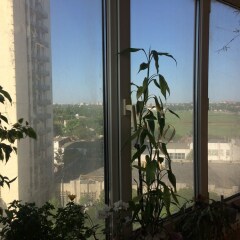 Гостиница 1st Man In Space Apartments в Ростове-на-Дону отзывы, цены и фото номеров - забронировать гостиницу 1st Man In Space Apartments онлайн Ростов-на-Дону