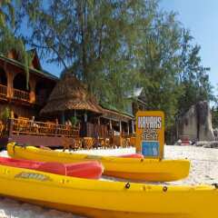 Отель Bans Diving Resort Таиланд, Остров Тау - отзывы, цены и фото номеров - забронировать отель Bans Diving Resort онлайн приотельная территория