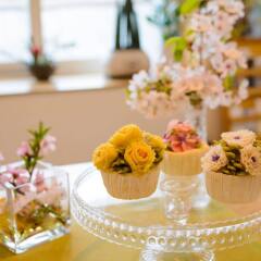 Отель I'm Green House Южная Корея, Сеул - отзывы, цены и фото номеров - забронировать отель I'm Green House онлайн помещение для мероприятий