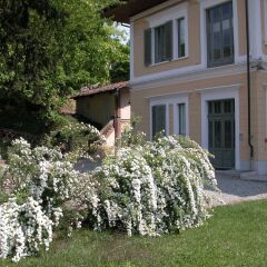 Отель Villa D'Azeglio Албьяно-д'Ивреа фото 16