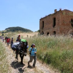Отель B&B La Quercia e l'Asino Пьяцца-Армерина приотельная территория
