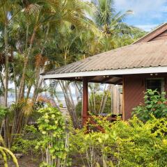 Отель Wananavu Beach Resort фото 9