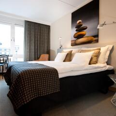 Hotel Birger Jarl 4* Стандартный номер с двуспальной кроватью