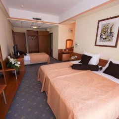 Hotel Drim in Struga, Macedonia from 86$, photos, reviews - zenhotels.com guestroom photo 3