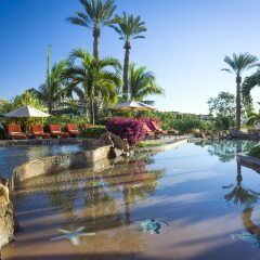 Отель Hacienda del Mar Los Cabos детские мероприятия фото 2