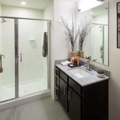 Отель Luxury Apartments at The Bainbridge Bethesda США, Бетесда - отзывы, цены и фото номеров - забронировать отель Luxury Apartments at The Bainbridge Bethesda онлайн ванная