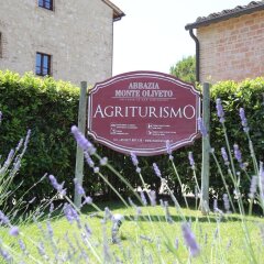 Отель Fattoria Abbazia Monte Oliveto Италия, Сан-Джиминьяно - отзывы, цены и фото номеров - забронировать отель Fattoria Abbazia Monte Oliveto онлайн спортивное сооружение