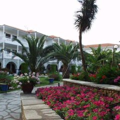 Отель Porfi Beach Hotel Греция, Ситония - 1 отзыв об отеле, цены и фото номеров - забронировать отель Porfi Beach Hotel онлайн фото 3