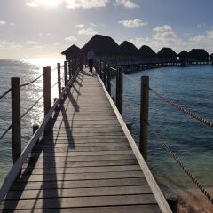 Отель Tikehau Pearl Beach Resort фото 4