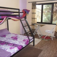 Отель Nepal Inn Bed & Breakfast Непал, Лалитпур - отзывы, цены и фото номеров - забронировать отель Nepal Inn Bed & Breakfast онлайн удобства в номере фото 2