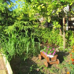 Отель Guest House Dvata Bora Болгария, Генерал-Кантраджиево - отзывы, цены и фото номеров - забронировать отель Guest House Dvata Bora онлайн фото 6