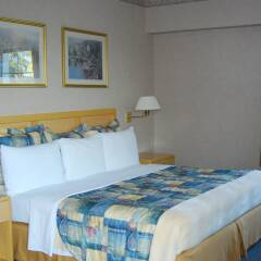 Отель Rio Vista Inn комната для гостей фото 5