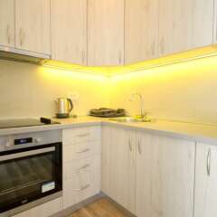 Апартаменты Isidora Apartments в номере фото 2