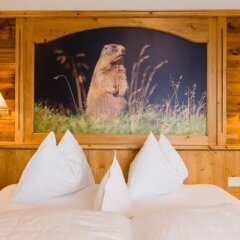 Hotel Pfandleralm Сан-Мартино-ин-Пассирия детские мероприятия