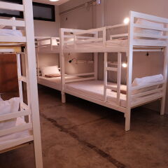 Petit Hostel детские мероприятия