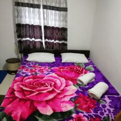 Blooms Lily Hostel комната для гостей фото 2
