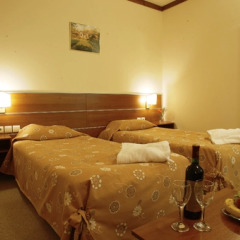 Отель Vihren Palace Ski & SPA в номере фото 2