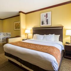 Отель Comfort Suites Galveston США, Галвестон - отзывы, цены и фото номеров - забронировать отель Comfort Suites Galveston онлайн комната для гостей фото 2