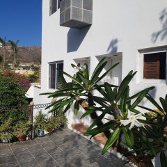 Отель Los Milagros Hotel Мексика, Кабо-Сан-Лукас - отзывы, цены и фото номеров - забронировать отель Los Milagros Hotel онлайн фото 11