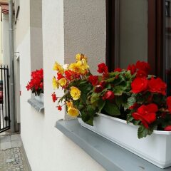 Отель Kamienica Pod Aniolami интерьер отеля фото 2