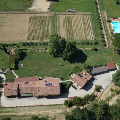Отель Agriturismo Podere Bucine Basso Италия, Лари - отзывы, цены и фото номеров - забронировать отель Agriturismo Podere Bucine Basso онлайн детские мероприятия