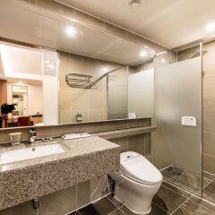 WD Hotel ванная