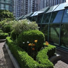 Отель Rosedale On Robson Suite Hotel Канада, Ванкувер - отзывы, цены и фото номеров - забронировать отель Rosedale On Robson Suite Hotel онлайн фото 15