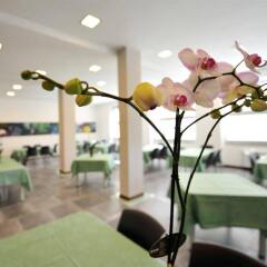 Отель Casa Immacolata Италия, Вербания - отзывы, цены и фото номеров - забронировать отель Casa Immacolata онлайн гостиничный бар