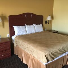 Отель Americas Best Value Inn-South Gate Downey США, Южные ворота - отзывы, цены и фото номеров - забронировать отель Americas Best Value Inn-South Gate Downey онлайн комната для гостей фото 5