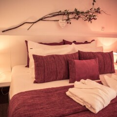 Отель Quinta dos Padres Santos, Agroturismo & Spa Португалия, Байао - отзывы, цены и фото номеров - забронировать отель Quinta dos Padres Santos, Agroturismo & Spa онлайн фото 17