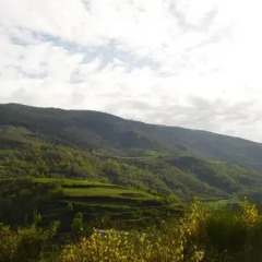 Отель Camping Vall De Ribes Испания, Рибес-де-Фресер - отзывы, цены и фото номеров - забронировать отель Camping Vall De Ribes онлайн приотельная территория