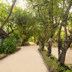 Отель Taj Coral Reef Resort & Spa Maldives Мальдивы, Северный атолл Мале - отзывы, цены и фото номеров - забронировать отель Taj Coral Reef Resort & Spa Maldives онлайн фото 8