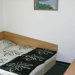 Отель Pension Antica Пльзень комната для гостей фото 2