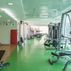 Отель Holiday Inn Dubai - Al Barsha фитнесс-зал фото 2