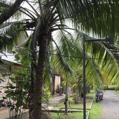 Отель Coconut Bungalow фото 12