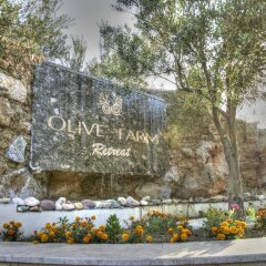 Отель Olive Farm Of Datca Guesthouse - Adults Only Датча фото 3