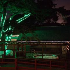 Отель Coast Inn and Spa Fort Bragg гостиничный бар