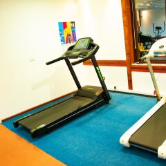 Отель Airport Tirana Албания, Тирана - отзывы, цены и фото номеров - забронировать отель Airport Tirana онлайн фитнесс-зал фото 4