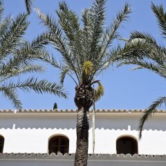 Отель Mirador de Dalt Vila Испания, Ивиса - отзывы, цены и фото номеров - забронировать отель Mirador de Dalt Vila онлайн парковка