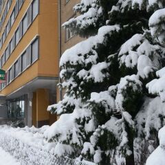 Austria Trend Hotel Zoo Wien Вена помещение для мероприятий