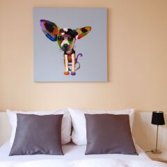 Отель Arthouse Apartments am Barbarossaplatz Германия, Кёльн - отзывы, цены и фото номеров - забронировать отель Arthouse Apartments am Barbarossaplatz онлайн фото 6