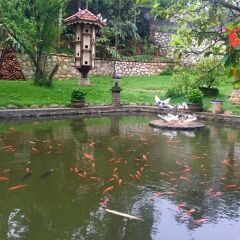 Отель Sapa Garden Bed and Breakfast Вьетнам, Шапа - отзывы, цены и фото номеров - забронировать отель Sapa Garden Bed and Breakfast онлайн приотельная территория