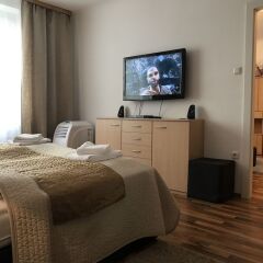 Отель Top-Apartments-Vienna Gölsdorf Австрия, Вена - отзывы, цены и фото номеров - забронировать отель Top-Apartments-Vienna Gölsdorf онлайн комната для гостей фото 4