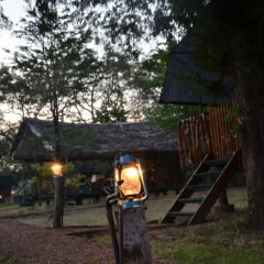 Отель Camp Leopard - Yala Safari Glamping детские мероприятия