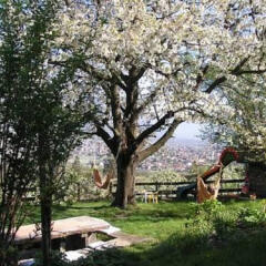 Отель Unterbrunnerhof Италия, Чермес - отзывы, цены и фото номеров - забронировать отель Unterbrunnerhof онлайн фото 4