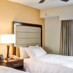 Отель Homewood Suites by Hilton Washington, D.C. Downtown детские мероприятия
