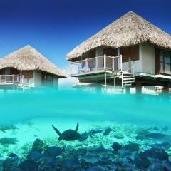 Отель Le Meridien Bora Bora Французская Полинезия, Бора-Бора - отзывы, цены и фото номеров - забронировать отель Le Meridien Bora Bora онлайн пляж фото 2
