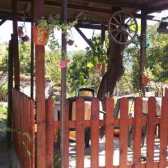 Отель Guest House Selin Велико Тырново гостиничный бар