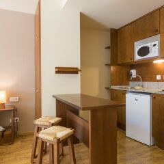 Отель Aparthotel La Vall Blanca Испания, Вьельа Э Михаран - отзывы, цены и фото номеров - забронировать отель Aparthotel La Vall Blanca онлайн удобства в номере